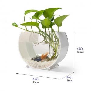 China Acrylic Mini Fish Tank for Home and Office Aquarium Fish Tank 100% Brand New Aquariums - China