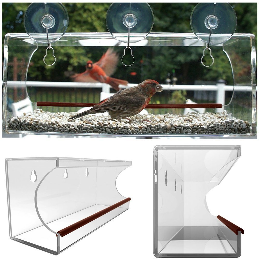 Bird Feeder 0 Bird Feeder 0