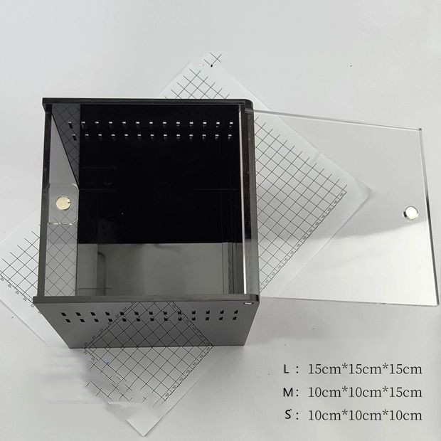 Spider Box 6 Spider Box 6