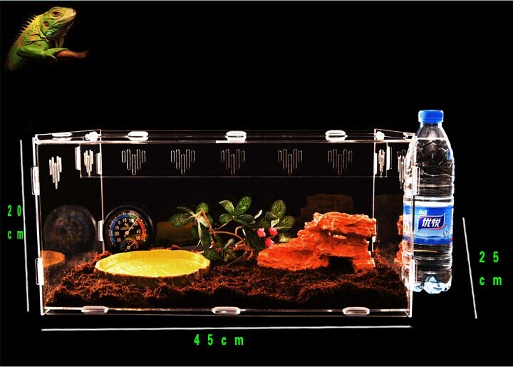 Reptile Box 34 Reptile Box 34