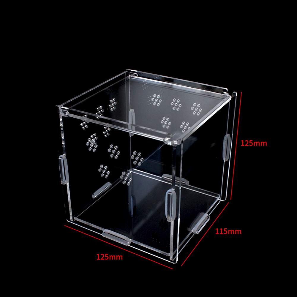 Reptile Box 01 Reptile Box 01