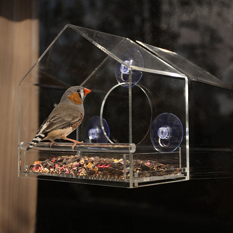 Bird Feeder 48 Bird Feeder 48