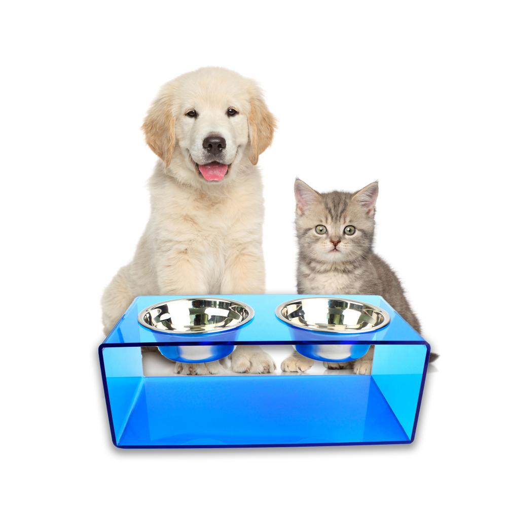 Dog Feeder 2 Dog Feeder 2