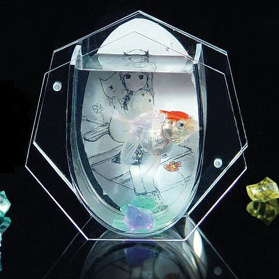 Different Shape Acrylic Freshwater Aquarium Fish Tank with Photo Display
