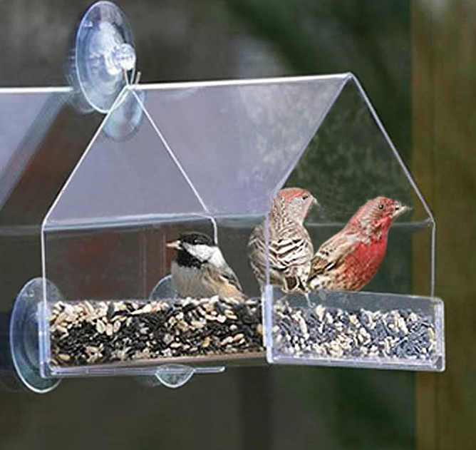 Bird Feeder 1 Bird Feeder 1