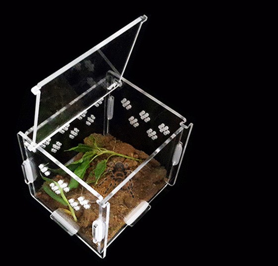 Reptile Box 25 Reptile Box 25