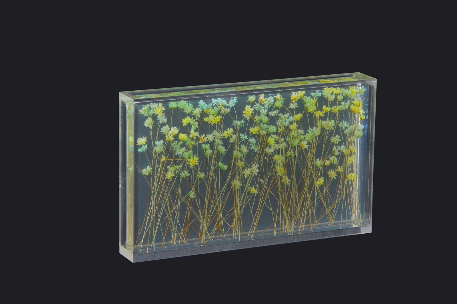 Acrylic gifts Acrylic gifts