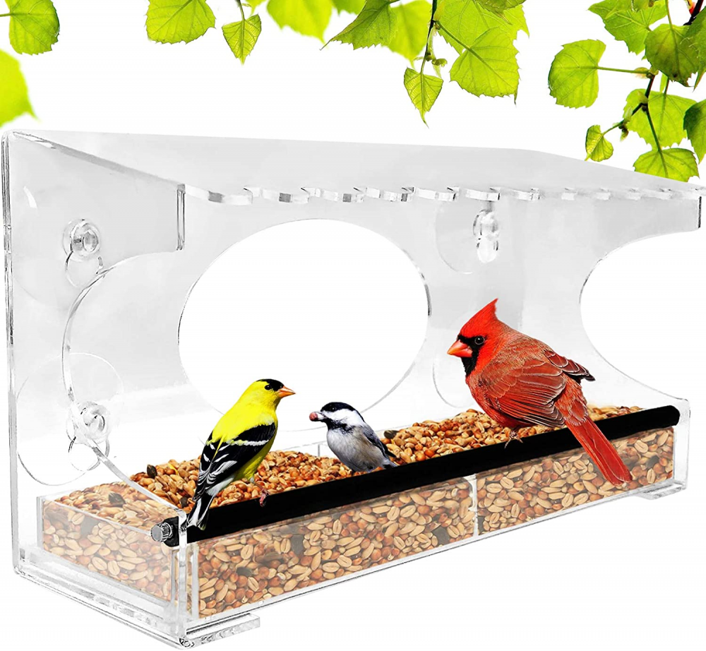 Bird Feeder 30 Bird Feeder 30