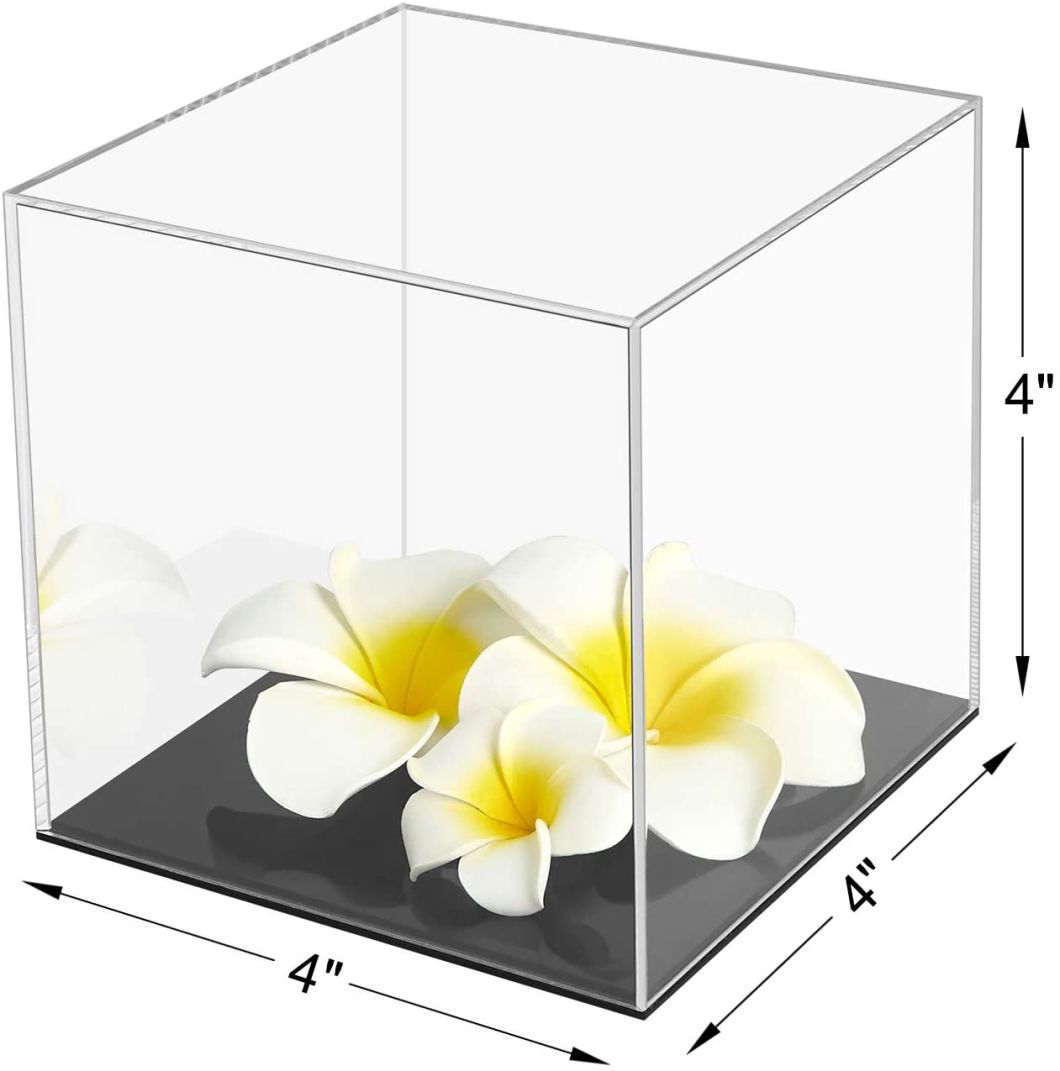 Acrylic Display Case with Black Base Acrylic Display Box