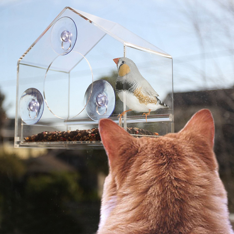 Bird Feeder 47 Bird Feeder 47