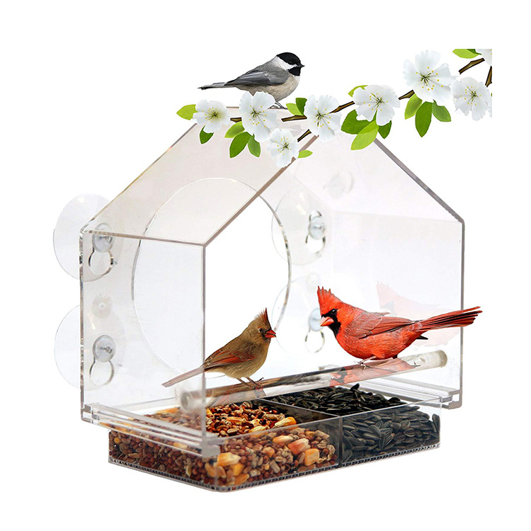 Bird Feeder 1 Bird Feeder 1
