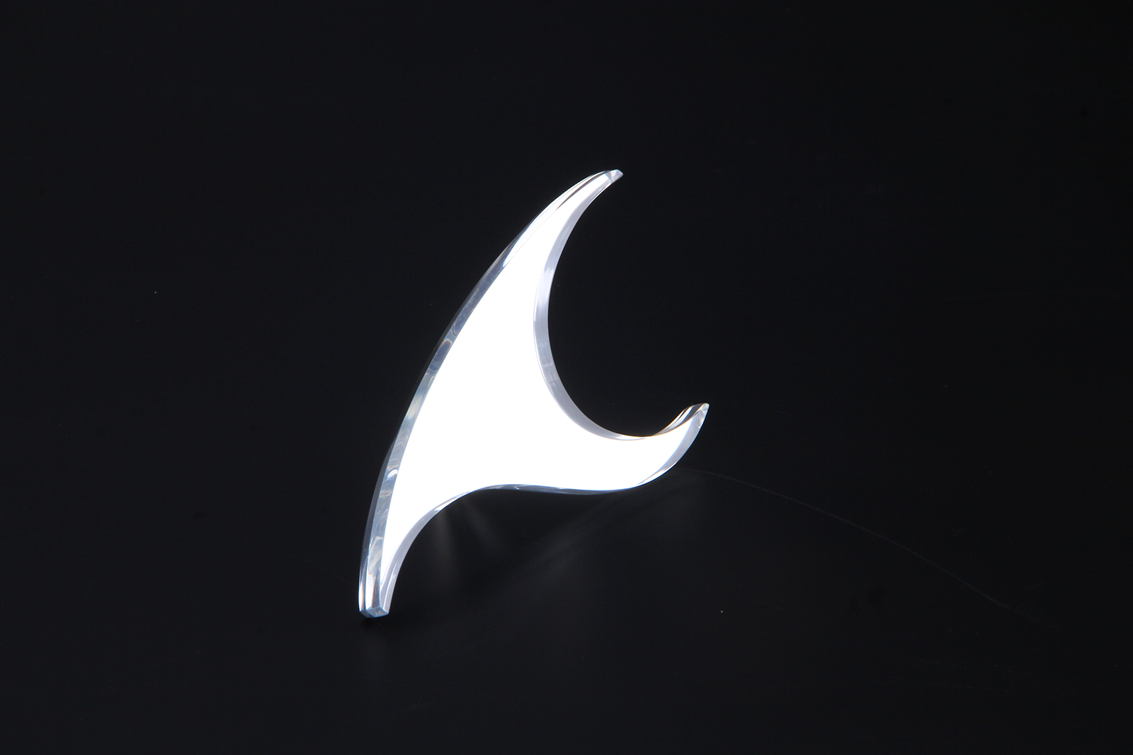 Acrylic logo sign Acrylic logo sign
